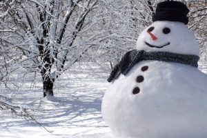 24115257 snowman wallpaper