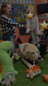 BF929CD4 A785 4F9A A710 B682823CEAA4