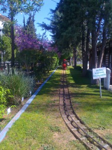 Φωτογραφία0743