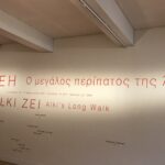 IMG 7957