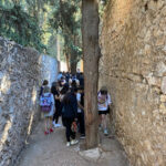 IMG 8978n