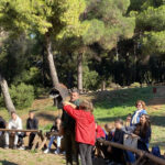 IMG 9137n