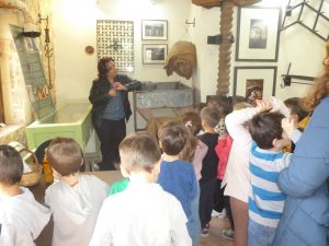 μουσείο ελιάς Βουβών4