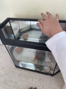 IMG f3e44051ff7cb9979e9eb5e96ff4f447 V