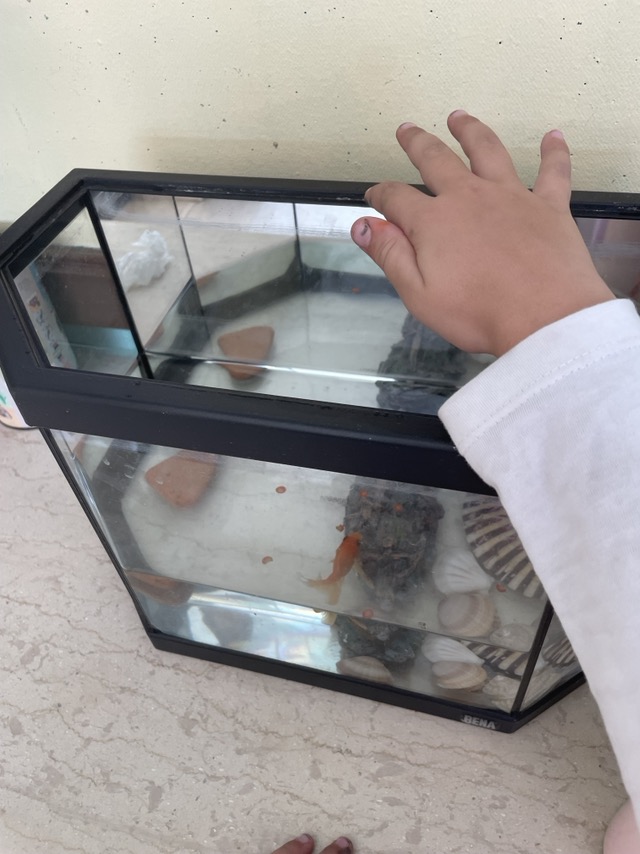 IMG f3e44051ff7cb9979e9eb5e96ff4f447 V