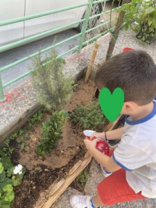 μικροί κηπουροί φροντίζουν τα φυτά του σχολείου μας 1