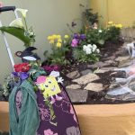 IMG 06bf5a84f9c2ba10e12be4a03ade6d17 V