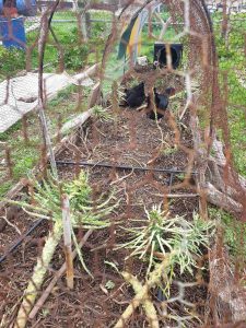 IMG 133084dc82d9bfa961bb2b8a96f8292f V