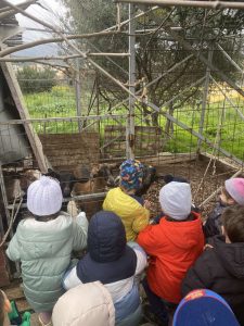 IMG 698a10d491a94c3a2e70fc4621fea3a5 V