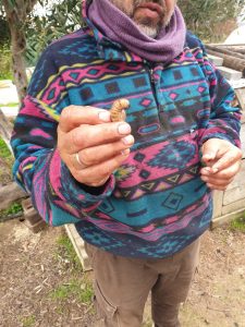 IMG a156eebd0860fb2cc40aacf7bfaa56b8 V