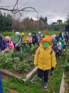 IMG c8e2753b3e5fbe4b1fd1bac134c31b05 V