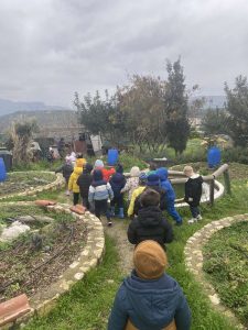 IMG d3b23b4df0111dd32c4190a0613d9b04 V