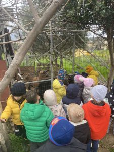 IMG d9090c08d718e74bca59810f018f3d7f V