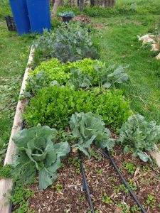 IMG db4a76fb678f0b46a93429f7b6469264 V