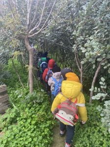 IMG f0ae808fa2faa9167eea18aaa55d1c24 V