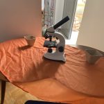 IMG 1d66c8239d6fa401d9a825d13c6d43b2 V