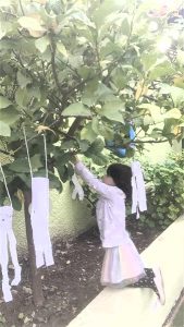 3b9b634e c921 42f8 996c 5916fb5ebdcd