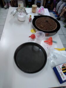 IMG 20250224 094241 761