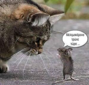 ΤΑ ΠΑΙΔΙΑ ΣΥΝΕΧΙΖΟΥΝ ΤΟΝ ΔΙΑΛΟΓΟ ΓΑΤΑΣ ΚΑΙ ΠΟΝΤΙΚΙΟΥ