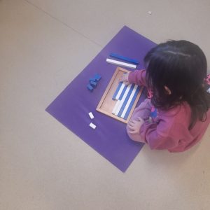 IMG 512eecd08df56cb603dceee6c1a0f0a8 V