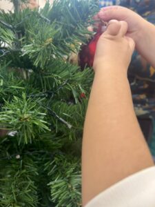 IMG 069b34cecd858b860050a0e15dd81721 V