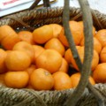DSCN1204