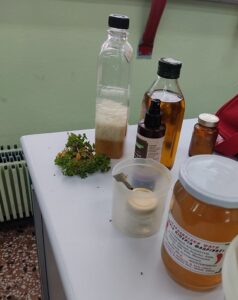 herbs11
