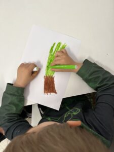 IMG 0252