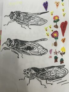 IMG 1216