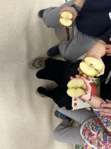 IMG 4578