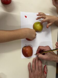 IMG 4585