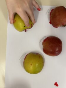 IMG 4587