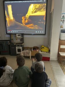IMG 4768