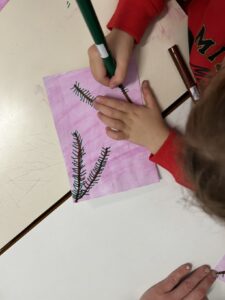 IMG 4985