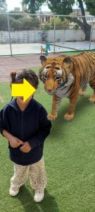 IMG 45a287d81147f5b787aa7f7bdeacd4a0 V