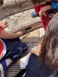 εικόνα Viber 2023 05 25 17 06 39 986