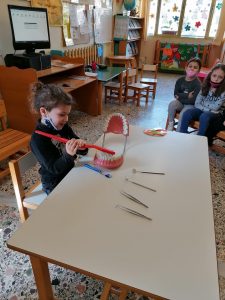 IMG 20220321 104929