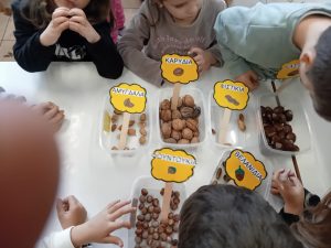 4b2c1c74 c260 48aa ba07 672bbebe205b