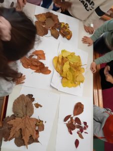 96ed8bf4 9bc3 480e 8e06 379eb5b85e0c