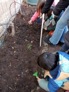 ΛΑΧΑΝΟΚΗΠΟΣ 10