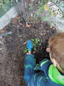 ΛΑΧΑΝΟΚΗΠΟΣ 12