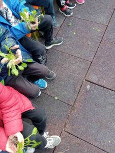 ΛΑΧΑΝΟΚΗΠΟΣ 13