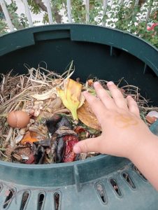 IMG ccf42f1904e6630b69f9bd017c129e17 V