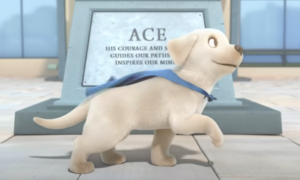 pip