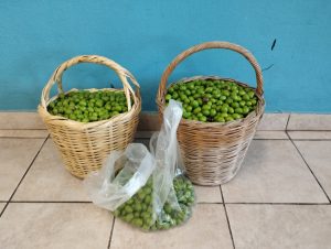 IMG 20221019 082812