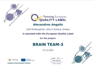 BRAIN TEAM3 ETIKETA