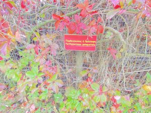 0619f5bc 7f70 4c6c 8058 452a4c550ae6