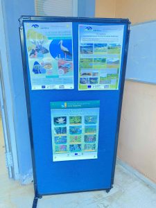 11db9962 c02a 4560 bfd7 8f3ed01fe1bc