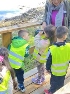 55435860 7519 4db2 90c5 79a1f009faee