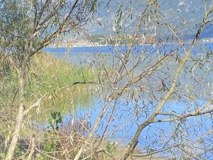 7cd32d9c ebbb 4965 927d d9df0b74360e